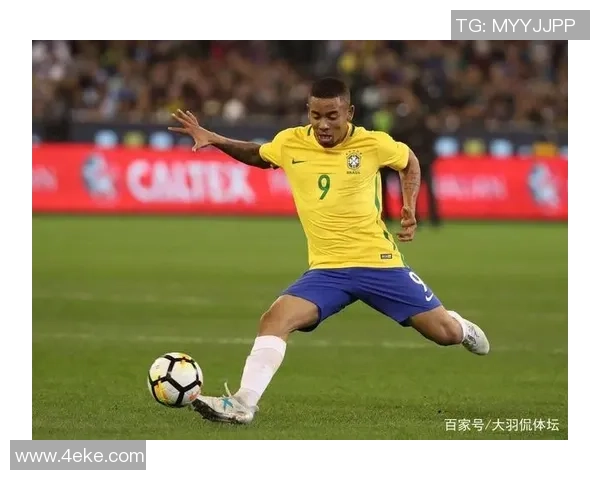 足球之王的传奇之路与辉煌成就探秘